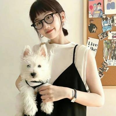 驴子潘趣